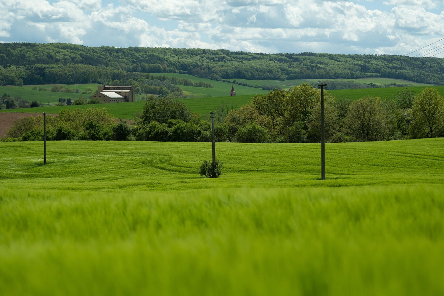 Green rolling hills with lush fields, scattered trees, power poles, and distant buildings under a cloudy sky