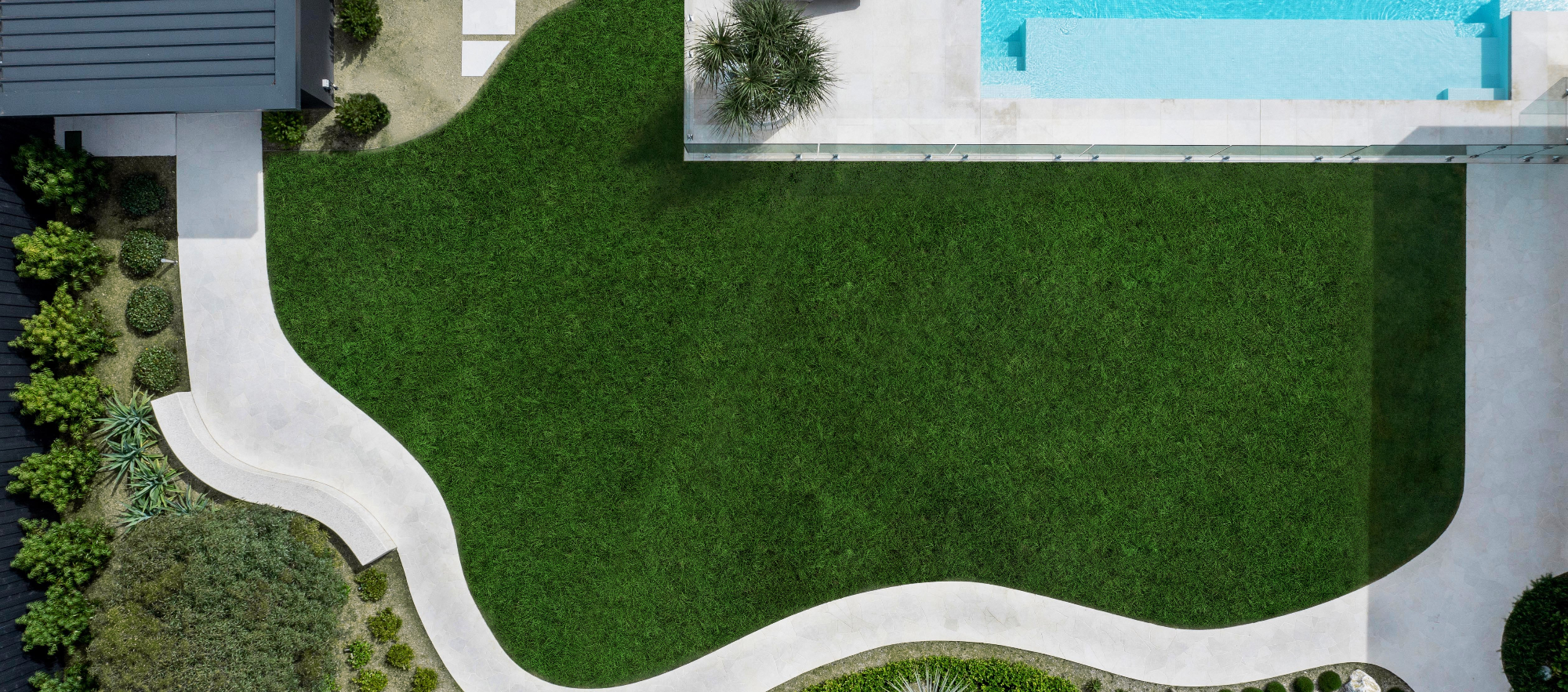 a lawn before mowing