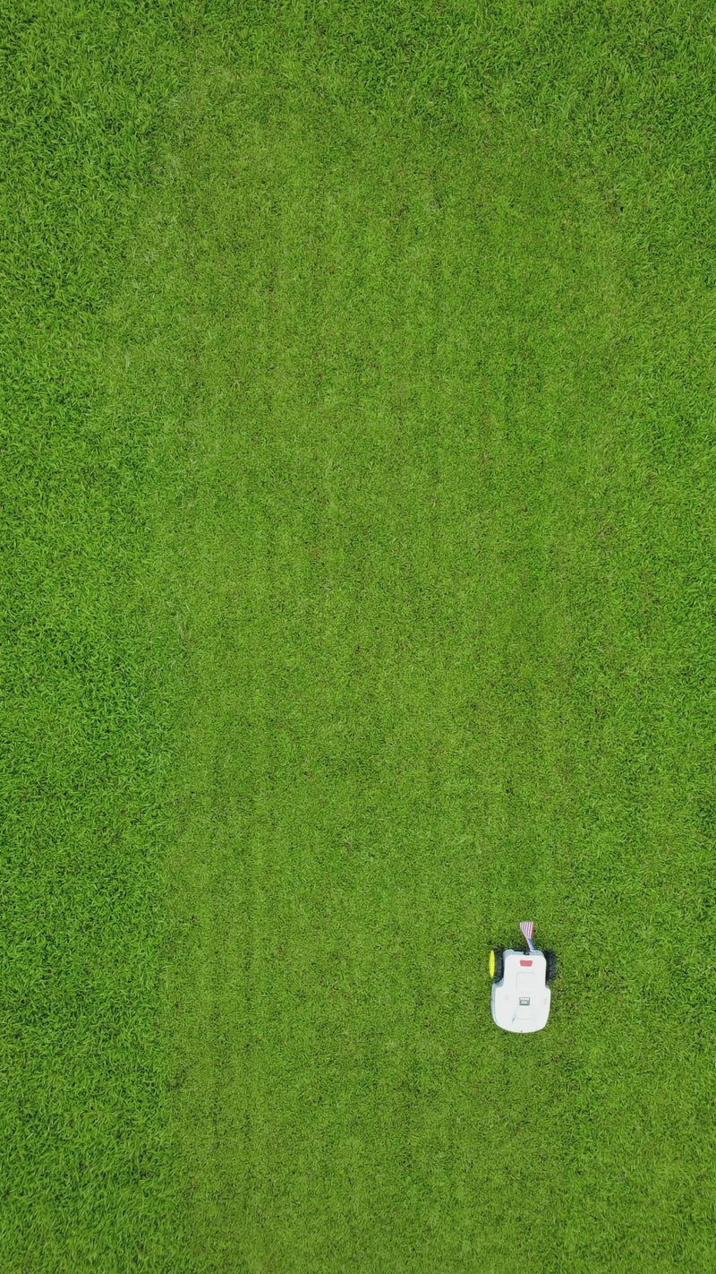 robot lawn mower working routine on a lawn