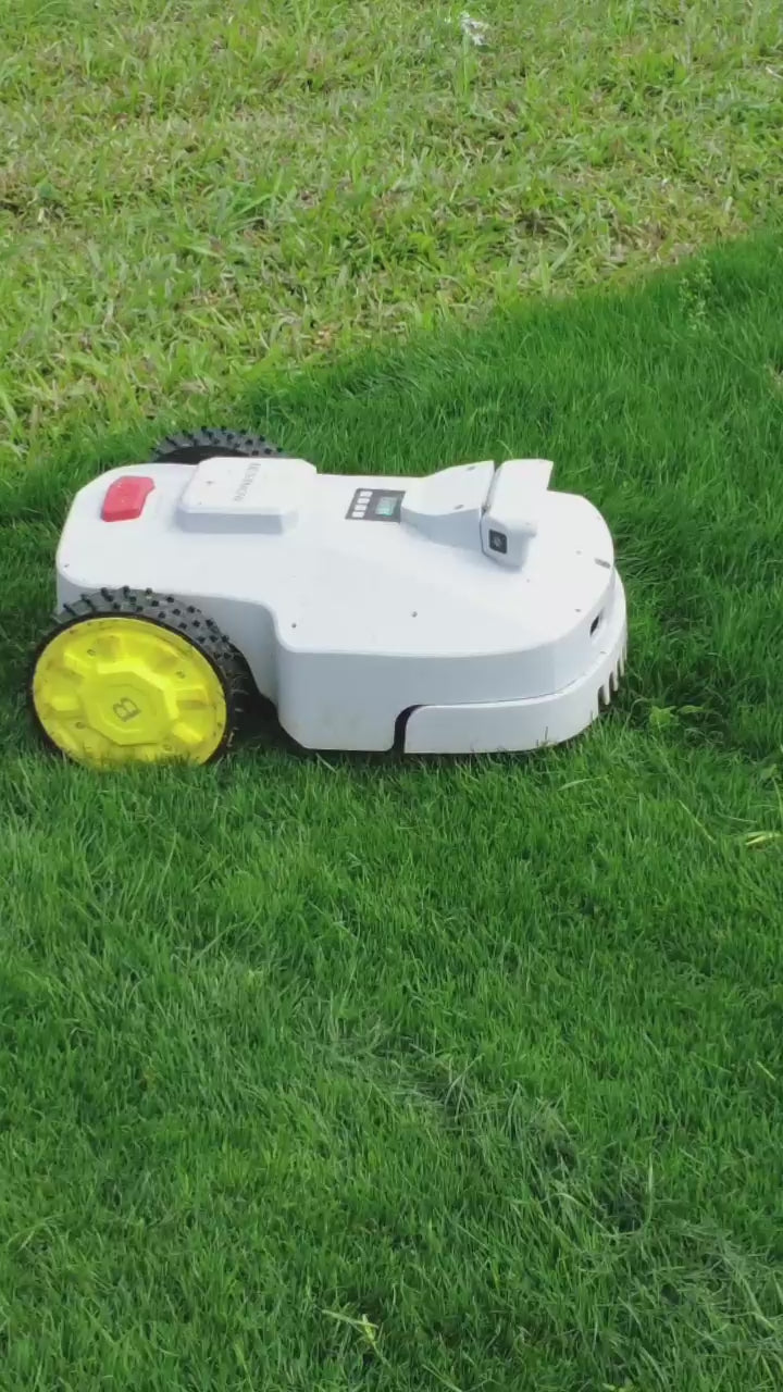 robot lawn mower work on a lawn